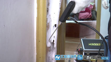 白蟻分飛高峰將至，南通應(yīng)用新技術(shù)提升防治服務(wù)水平