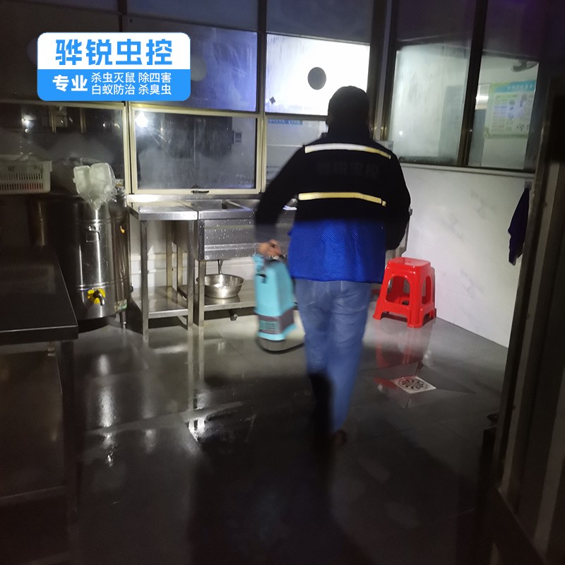 全方位守護(hù)企業(yè)安全 專(zhuān)業(yè)白蟻防治與工廠滅鼠除蟑螂綜合服務(wù)